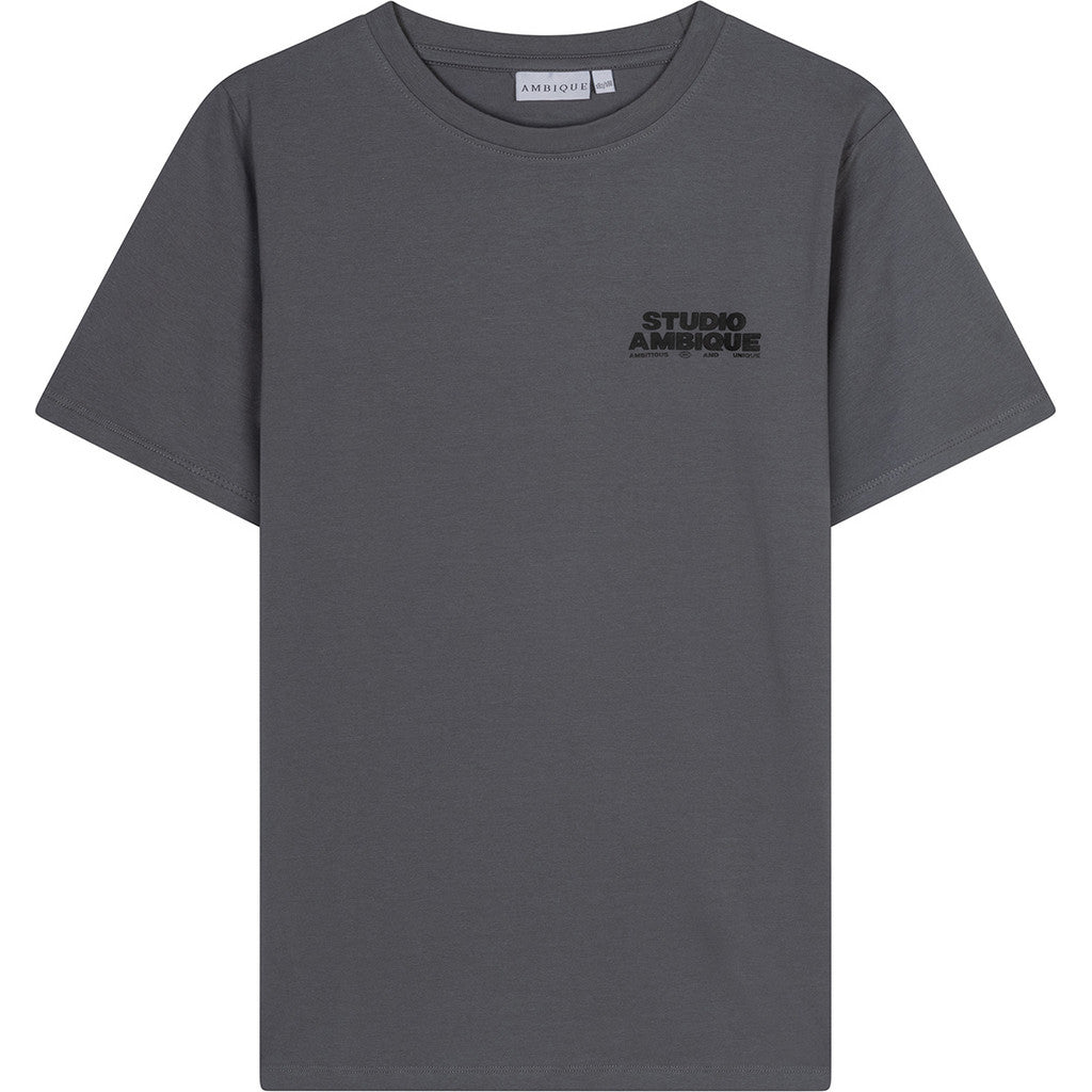 AMBIQUE KIDS Ace T-Shirt 111 Stone Grey