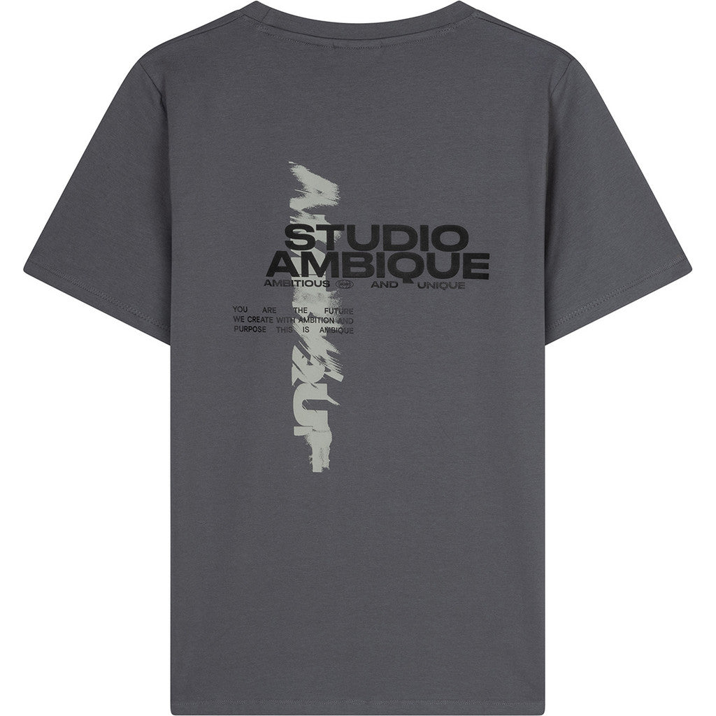 AMBIQUE KIDS Ace T-Shirt 111 Stone Grey