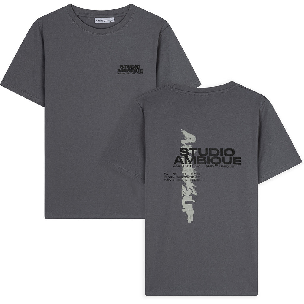 AMBIQUE KIDS Ace T-Shirt 111 Stone Grey