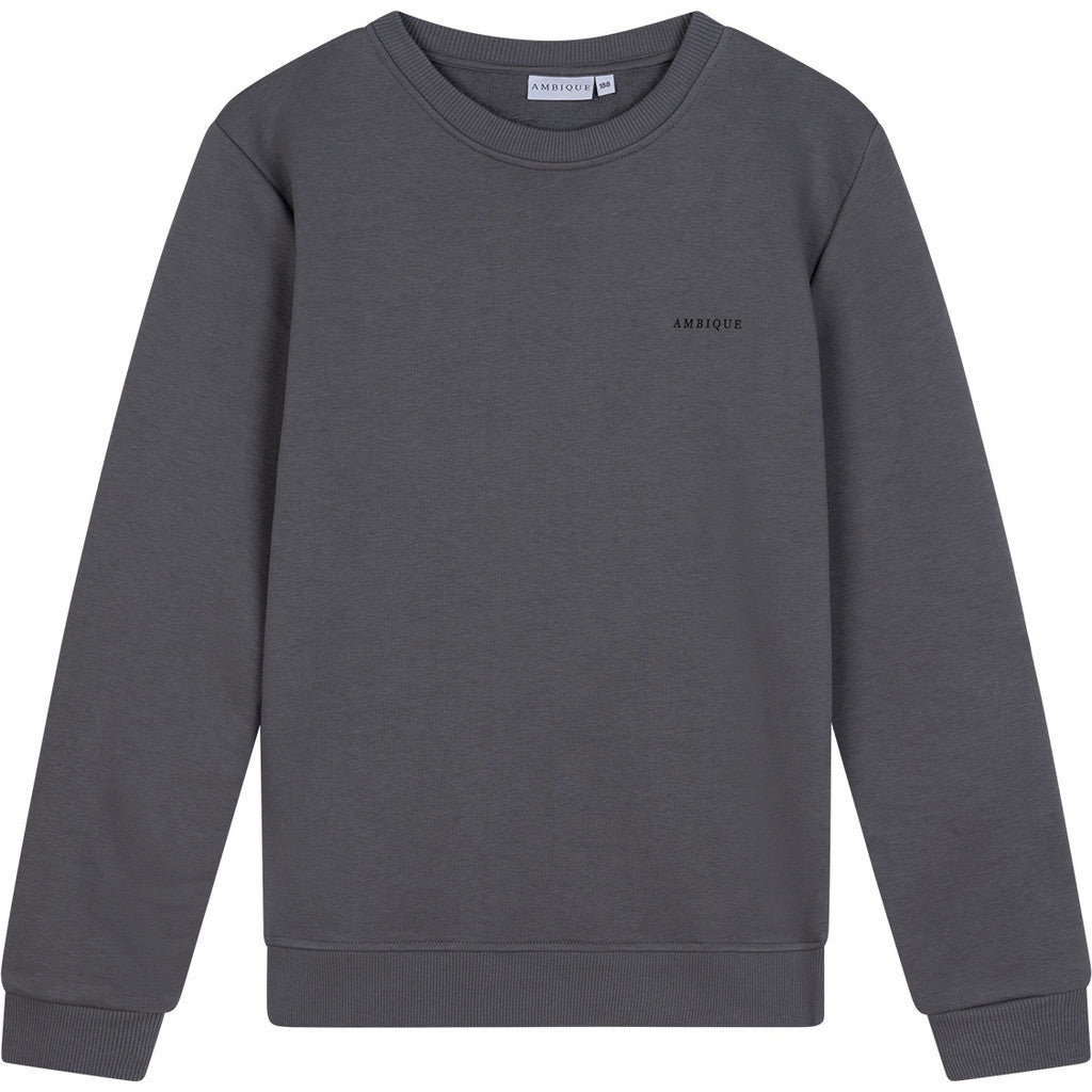 AMBIQUE KIDS Kris Crew Neck 111 Stone Grey