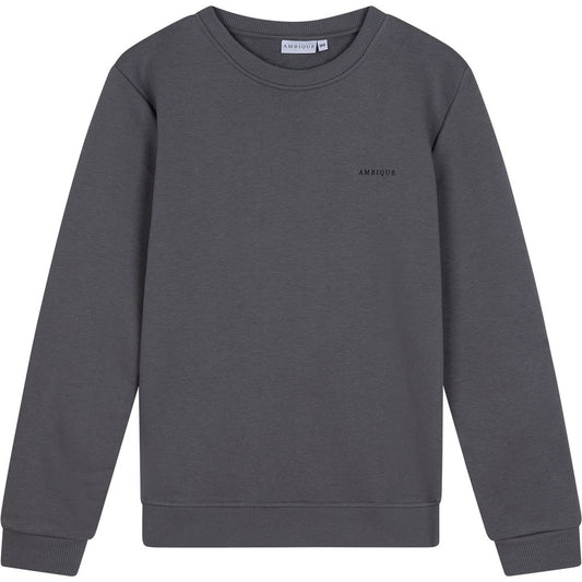 AMBIQUE KIDS Kris Crew Neck 111 Stone Grey
