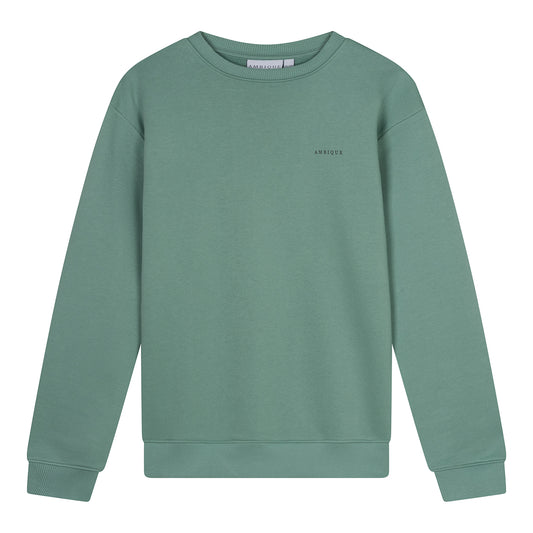 AMBIQUE KIDS Kris Crew Neck 135 Light green