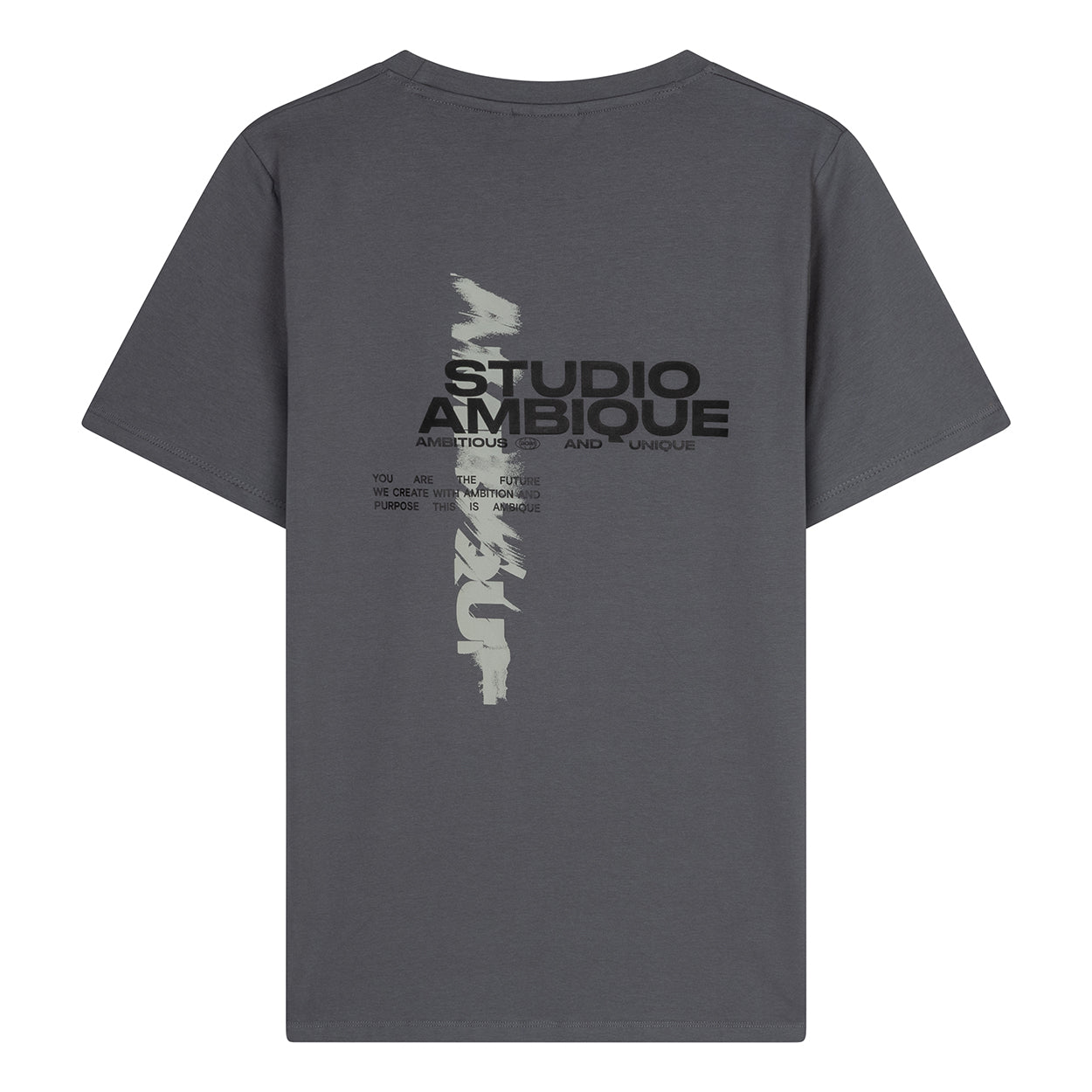 AMBIQUE MEN MEN Ace T-Shirt 111 Stone Grey