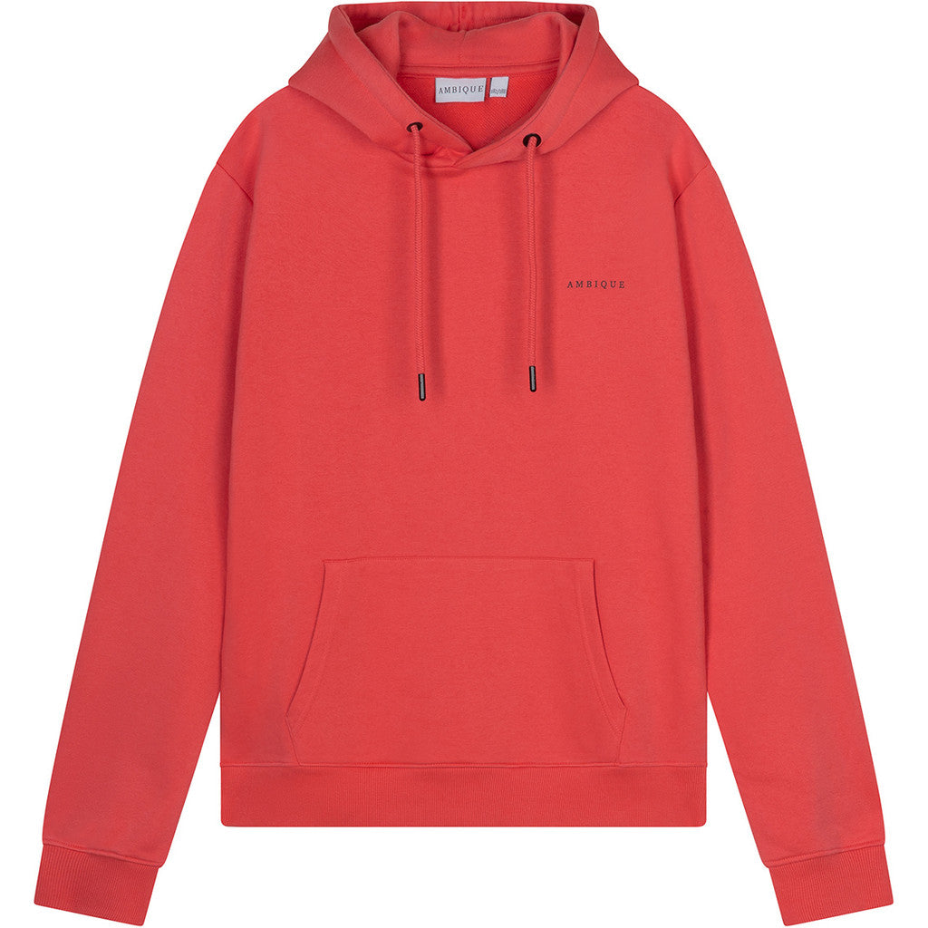 AMBIQUE KIDS Nick Hoodie 132 Coral